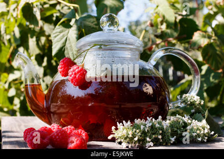 Himbeer Tee in der Teekanne auf hölzerne Schreibtische in Natur Stockfoto