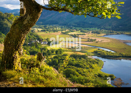 Mit Blick auf Tal Borrowdale, Derwentwater, Lake District, Cumbria, England Stockfoto