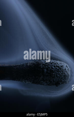 Ausgebrannten Spiel Kopf Makro. Flachen DOF! Stockfoto