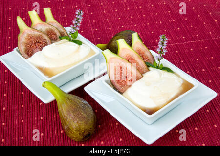 Feigen, Honig, Joghurt oder Mascarpone mit Vanille, es ist eine erstaunliche Dessert Stockfoto