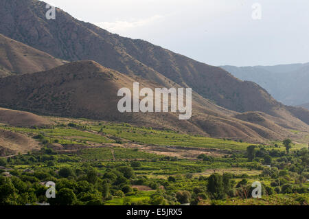 Weinberge und Obstgärten füllen das trockene Tal unterhalb des Areni-Gebirges, Armenien Stockfoto