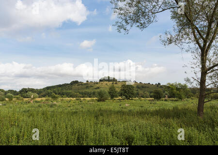 Ansicht von St. Catherine Hill, Winchester, Website von einer eisenzeitlichen Siedlung aus den Auen am St Cross Stockfoto