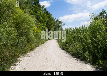 Ländliche Wanderweg mit Bäumen und Pflanzen beiderseits Stockfoto