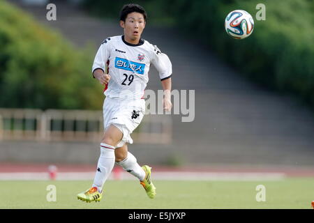 Kanagawa, Japan. 1. August 2014. Daiki Suga (Consadole) Fußball /Soccer: Adidas WM 2014, 38. Japan Club Youth Football Championship (U18) Semi Final match zwischen Consadole Sapporo u-18-0-3 Mitsubishi Yowa SC Jugend im Nippatsu-Mitsuzawa-Stadion in Kanagawa, Japan. Bildnachweis: AFLO SPORT/Alamy Live-Nachrichten Stockfoto