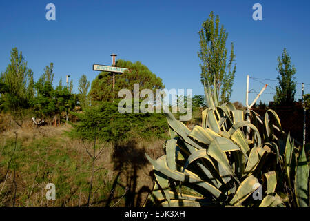 Alte verlassene Drive-In Theatre an Dubbo, NSW, Australia Stockfoto