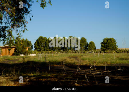 Alte verlassene Drive-In Theatre an Dubbo, NSW, Australia Stockfoto