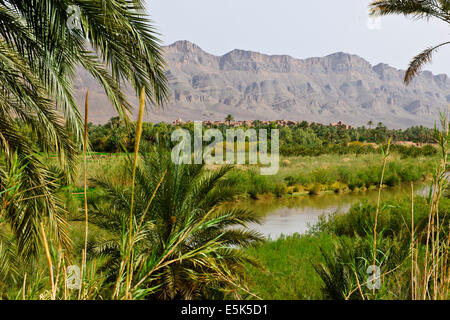 Agora, Hotel, Oase in der Wüste, Paul Street, Reisen & Landscape Photographer, südlichen Marokko, an der Grenze der Wüste Sahara & Algerien, Nord Afrika Stockfoto