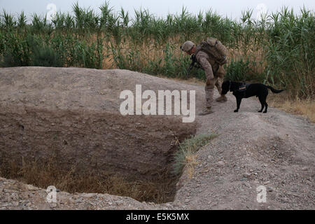 US Marine LCpl Daniel Buzalsky, improvisierte explosive Geräteerkennung Hundeführer, Bravo Company, 1. Bataillon, 7. Marineregiment, inspiziert einen leeren Brunnen mit seinem IED Erkennung Hund, Macon, während einer Mission 4. Juli 2014 in Gereshk, Provinz Helmand, Afghanistan. Stockfoto