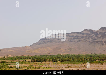 Große grüne Palmeraies, Agricultur, Paul Street, & Landschaft Reisefotograf, Südmarokko, am Rande der Wüste Sahara, Algerien Stockfoto