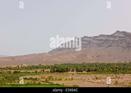 Große grüne Palmeraies, Agricultur, Paul Street, & Landschaft Reisefotograf, Südmarokko, am Rande der Wüste Sahara, Algerien Stockfoto