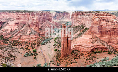 Spider Rock, Canyon De Chelly Navajo Tribal Park und National Monument, Arizona, USA Stockfoto