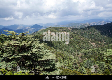 Zypern Troodos-Gebirge, Landschaft Stockfoto