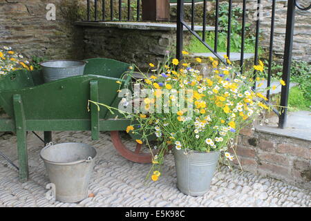 Ein Spray von Wildblumen und alten hölzernen Schubkarre in eine Hof-Ecke bei The Lost Gardens of Heligan, Cornwall, England, UK Stockfoto