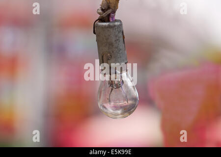 Wolfram mit schönen Hintergrund Stockfoto