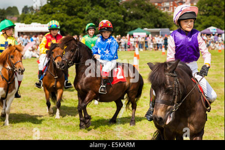 LEEK STAFFORDSHIRE ENGLAND 26. Juli 2014 Kinder in Richtung Startlinie auf die Shetland-Ponys Stockfoto