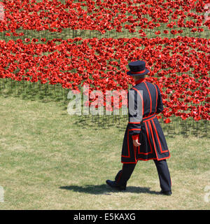 Yeoman Warder & Bereich der Keramik Mohnblumen "Blut fegte Ländereien & Meere rot" 1. Weltkrieg Tribut in den trockenen Graben an der Tower von London Tower Hamlets UK Stockfoto