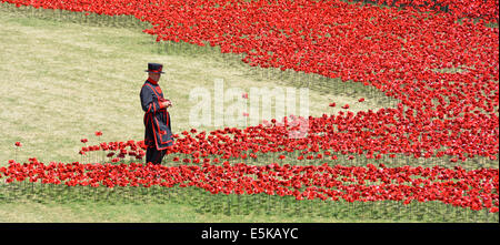 Yeoman Warder & Bereich der Keramik Mohnblumen "Blut fegte Ländereien & Meere rot" 1. Weltkrieg Tribut in den trockenen Graben an der Tower von London Tower Hamlets UK Stockfoto