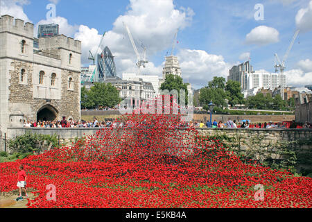 London England UK. 3. August 2014. Im Rahmen der Hundertjahrfeier Ereignisse markiert den Beginn des ersten Weltkriegs 888.246 Keramik Mohnblumen am Tower of London, eine für jede der Briten gepflanzt oder kolonialen Truppen, die getötet wurden. Die Mohnblumen werden von Keramik-Künstler Paul Cummins entwickelt. Der letzte Mohn wird symbolisch am 11. November 2014 gepflanzt werden. Bildnachweis: Julia Gavin/Alamy Live-Nachrichten Stockfoto