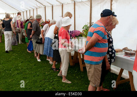 Badsey Flower Show Festzelt, Worcestershire, England, UK Stockfoto