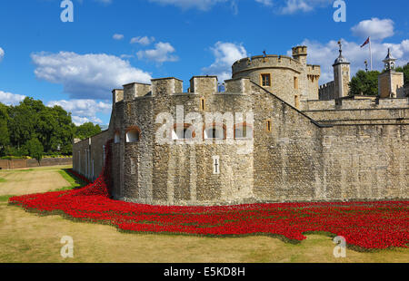 London, UK. 3. August 2014. Ein Meer von roten Keramik Mohnblumen füllen Sie den Graben der Tower of London zum Gedenken an die Gefallenen des ersten Weltkriegs vor dem 100. Jahrestag des ersten Weltkriegs in London, England.die Kunstwerk, Blut Mehrfrequenzdarstellung Länder und Meere von Red von Paul Cummins bietet Tausende von Keramik Mohn Gießen in den Graben werden offiziell am 5. August bekannt gegeben. Bildnachweis: Paul Brown/Alamy Live-Nachrichten Stockfoto