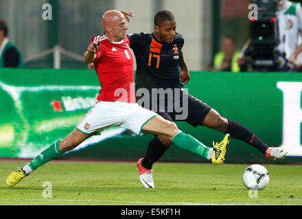 Ungarn vs. Niederlande FIFA World Cup Qualifier Fußballspiel Stockfoto