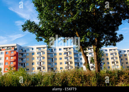 Ein Baum, Wohnanlage Tschechische Rapulic Stockfoto