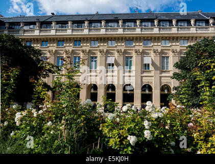 Jardin du Palais Royale Paris Frankreich Stockfoto