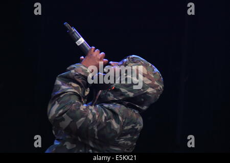 Peak District, Derbyshire, UK. 3. August 2014.  Kelvin Mercer (Pos) von De La Soul führt das Festival Y nicht in Pikehall im Herzen von Derbyshires Peak District National Park. Bildnachweis: Deborah Vernon/Alamy Live-Nachrichten Stockfoto