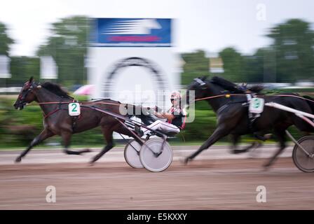 Berlin, Deutschland. 3. August 2014. Das Pferd Expo Express mit niederländischen Jockey Arnold Mollema gewinnt das 119. deutsche Trabrennen Rennen auf der Trabrennbahn in Berlin, Deutschland, 3. August 2014. Foto: Daniel Naupold/Dpa/Alamy Live News Stockfoto