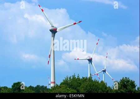 Windkraftanlagen vor einem bewölkten Himmel, Brandenburg, Deutschland Stockfoto