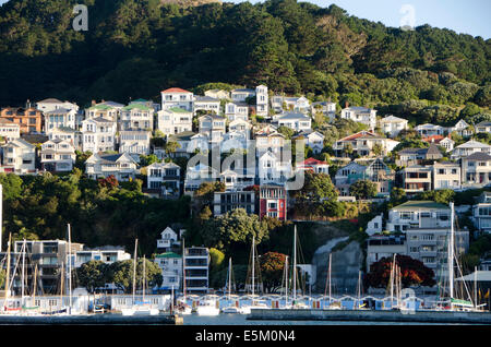 Häuser am Hang oberhalb Boot Hafen, Mount Victoria, Wellington, Nordinsel, Neuseeland Stockfoto