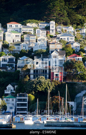 Häuser am Hang oberhalb Boot Hafen, Mount Victoria, Wellington, Nordinsel, Neuseeland Stockfoto