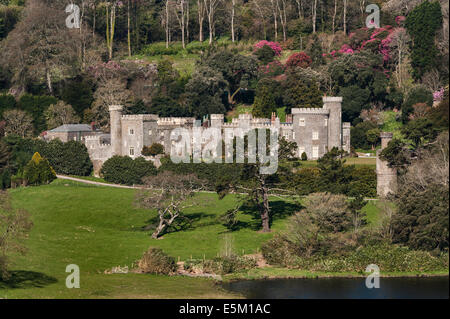 Caerhays Castle, Cornwall. Die Burg wurde c.1810 gebaut. Die Gärten halten die größte Sammlung von Magnolien in England Stockfoto