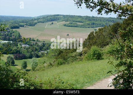 Blick über Weinberge und die Landschaft aus Box Hill in der Nähe von Dorking. Surrey. England. Mit Heat Haze. Stockfoto