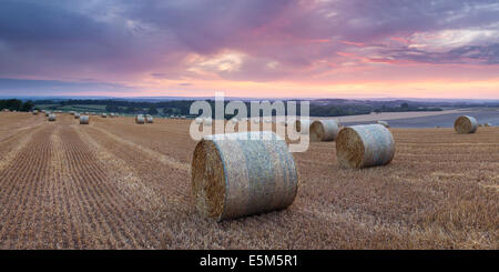 Heuballen auf den South Downs in der Nähe von Lewes, East Sussex, England, UK Stockfoto