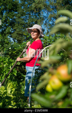 Frau arbeitet im Gemüsegarten Stockfoto