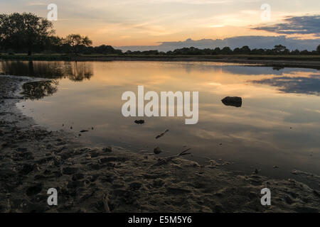 Janesmoor Teich befindet sich südlich von Fritham auf dem Weg nach Stoney Cross im New Forest Stockfoto