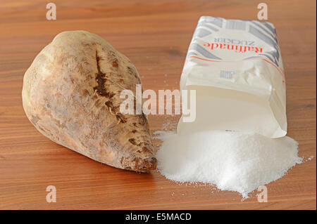 Zuckerrüben und Zucker (Beta Vulgaris ssp. Vulgaris var. Altissima) Stockfoto