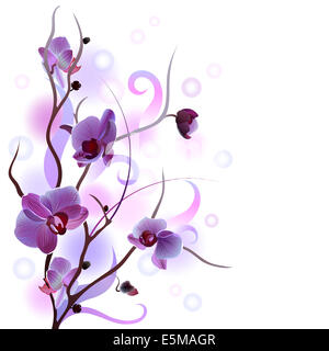 Quadratische weiße Grußkarte mit violetten sanfte Orchidee brunch Stockfoto