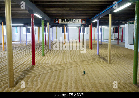 Springbank Destillerie Bodenmalz, gemälzte Gerste. Stockfoto