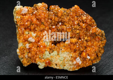 Spessartin oder Spessartin Granat cluster in leuchtendem Orange auf schwarzen Steinplatte. Stockfoto