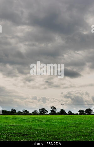 Grauen bewölktem Himmel über grüne Wiese, unterteilt durch Hecken, Bäume und Telegraph Drähte (Hochformat). Stockfoto