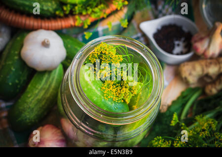 Draufsicht auf ein Glas mit Gurken und andere Zutaten für Beizen Stockfoto