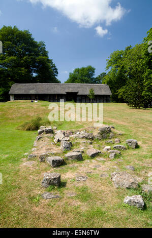 Fachwerk reetgedeckten Scheune aus 1550 St Fagans nationales historisches Museum/Amgueddfa Werin Cymru, Cardiff, Südwales, UK. Stockfoto