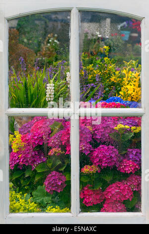 Blick aus einem Fenster im Potting Shed an einem regnerischen Tag Stockfoto