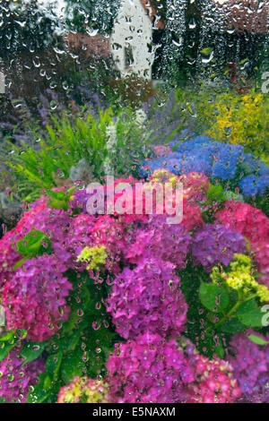 Blick aus einem Fenster im Potting Shed an einem regnerischen Tag Stockfoto