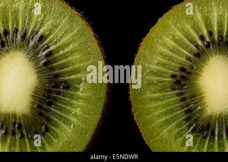 Kiwi Scheiben geschossen in Studiobeleuchtung Stockfoto