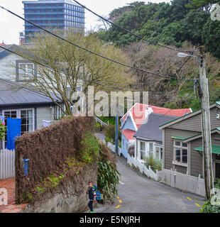 Ascot Street Wellington steile Hügel Wohngebiet von Wellington Neuseeland Stockfoto
