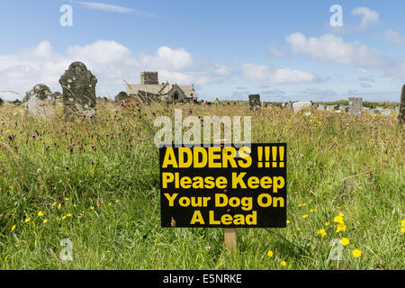 Addierer Warnung Zeichen bitten Hundebesitzer zu halten ihren Hund an der Leine, Pfarrei Kirche von St Materiana Tintagel Cornwall UK Stockfoto
