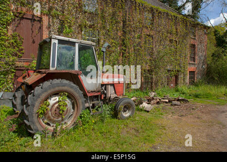 Alten Traktor Massey Ferguson 698T Traktor vor alten Bauernhof-Norfolk Stockfoto